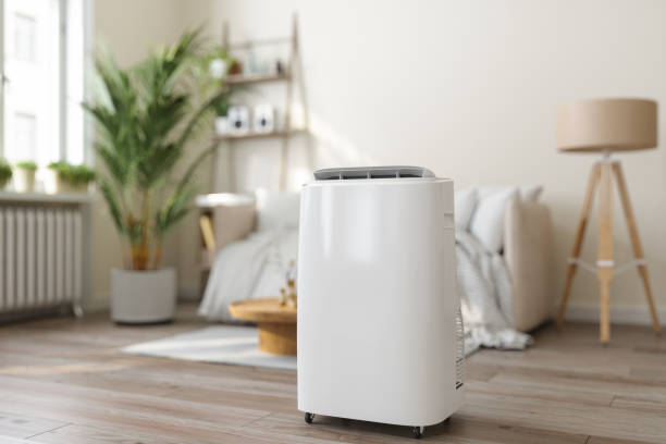Best HVAC tune-up services  in Lake City, AR